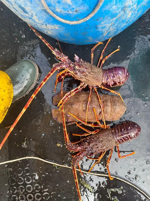 Capitan San Pietro-2