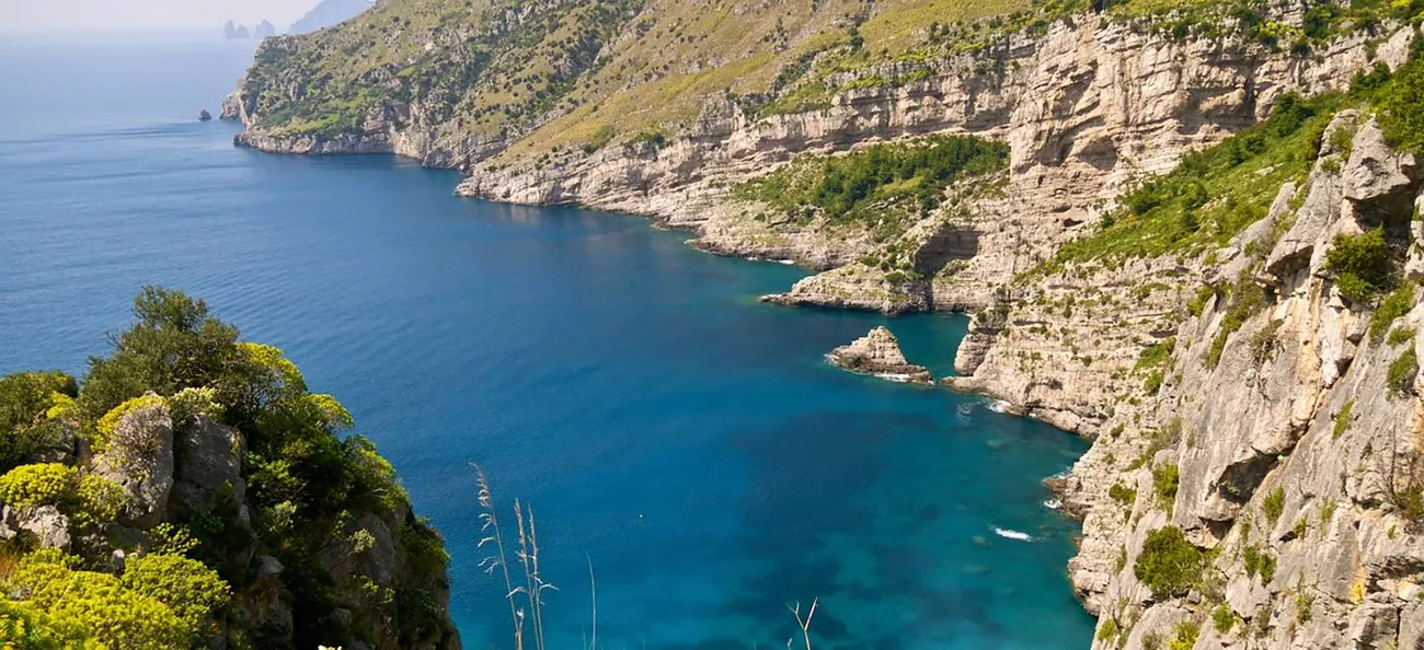 We have full access to the Protected Marine Area of Punta Campanella