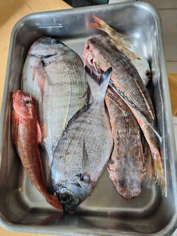 Capitan San Pietro-6